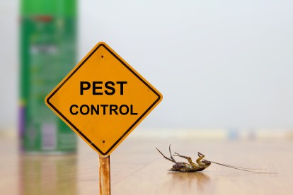 Pest Contol in Hornchurch, RM11, RM12. Call Now 020 8166 9746